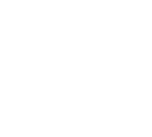 festival